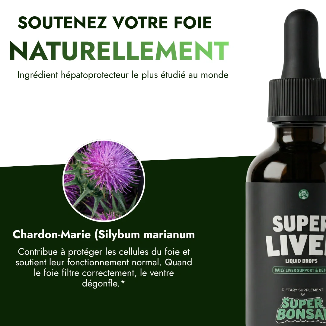 Super Liver — Retrouvez un ventre plat durablement